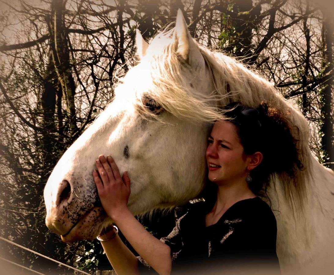 Une Roulotte Et Des Chevaux Treffléan Buitenkant foto